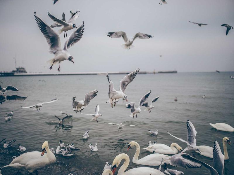 sudoku difficulty levels screenshot 1